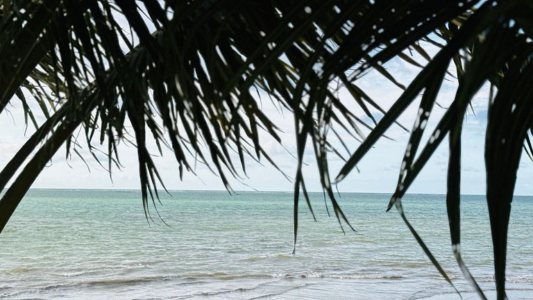 MHV Milagres - Casa OKA 37 Your Beachfront Refuge, Comfort,